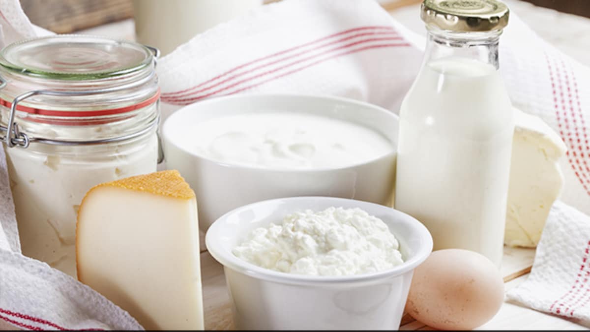 h02cbn6 milk and dairy products Milk Or Curd - Which One To Pick For Your Specific Requirement