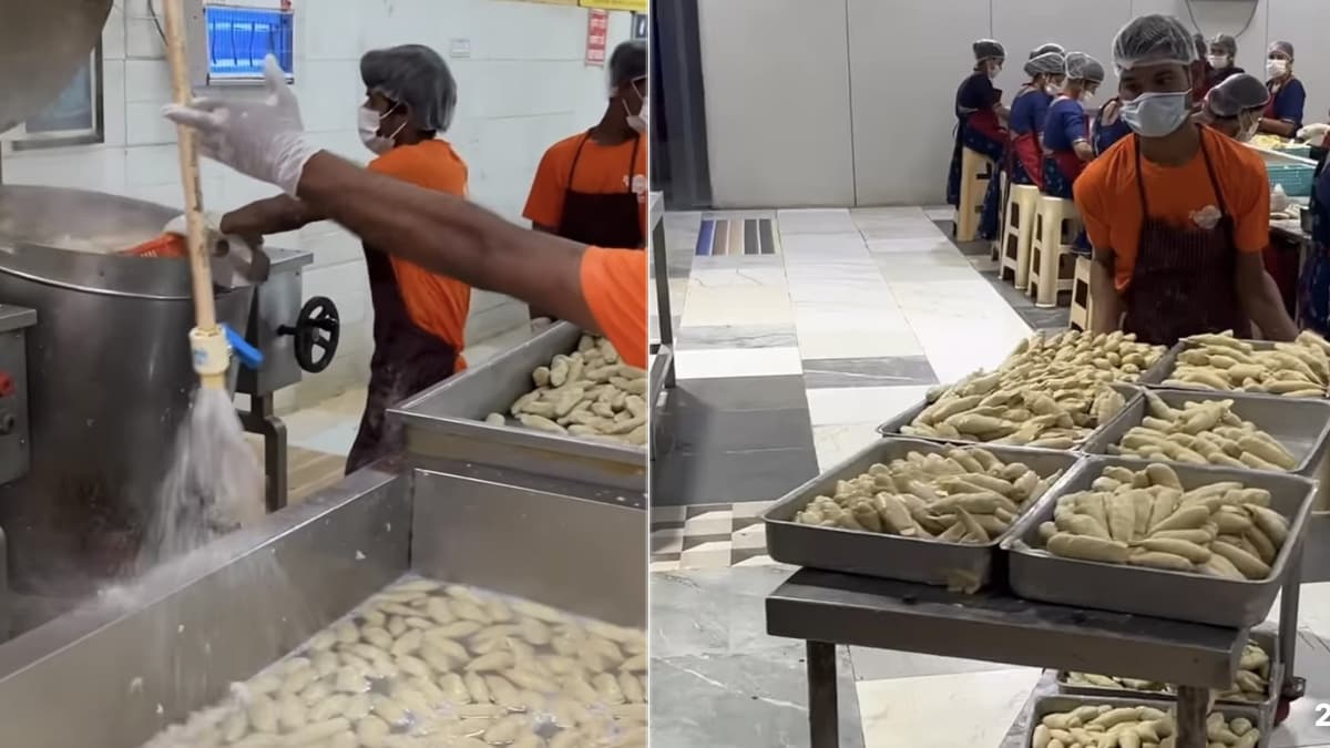 3dm5376g soya Watch: Viral Video Shows Making Of Soya Chaap In Factory, Internet Reacts