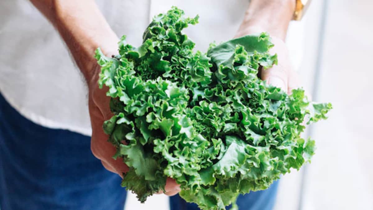 4m3a0gn kale 5 Best Kale Recipes To Reap In Its Health Benefits And Great Taste